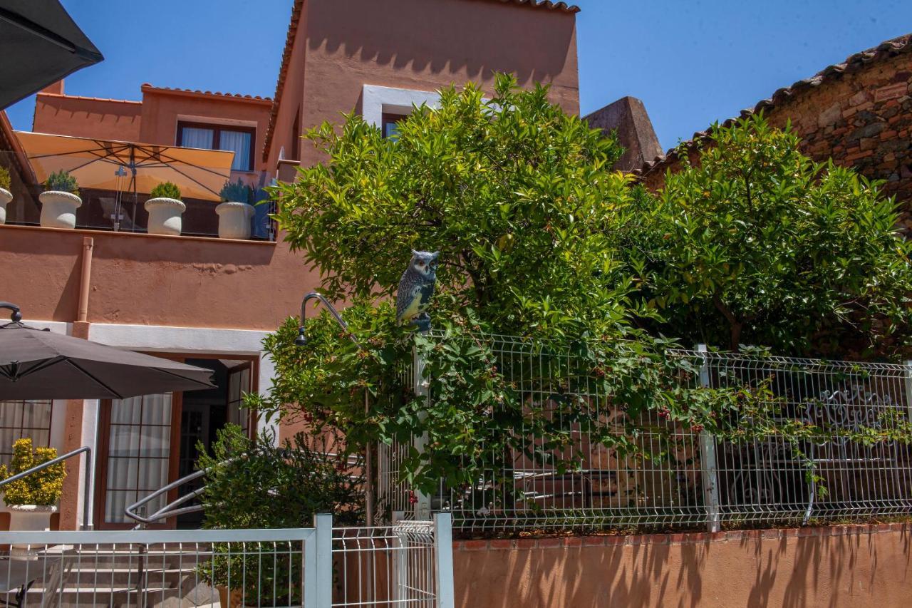 Casa Rural La Pajarona Siruela Ngoại thất bức ảnh